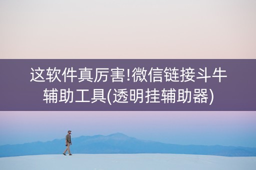 这软件真厉害!微信链接斗牛辅助工具(透明挂辅助器)