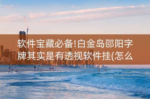 软件宝藏必备!白金岛邵阳字牌其实是有透视软件挂(怎么设置会赢)