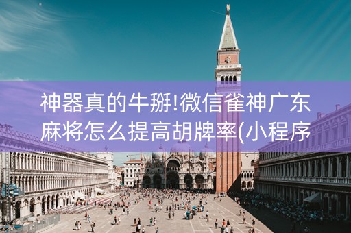神器真的牛掰!微信雀神广东麻将怎么提高胡牌率(小程序辅助软件)