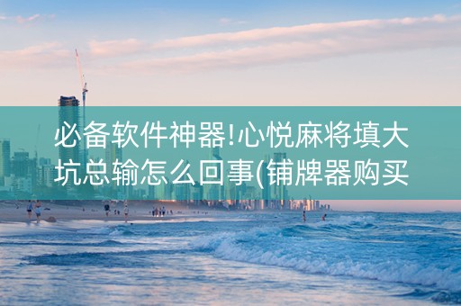 必备软件神器!心悦麻将填大坑总输怎么回事(铺牌器购买)