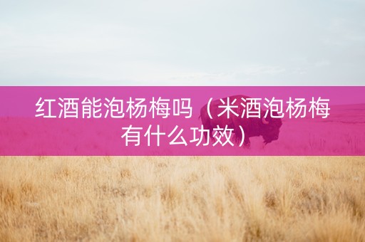 红酒能泡杨梅吗（米酒泡杨梅有什么功效）