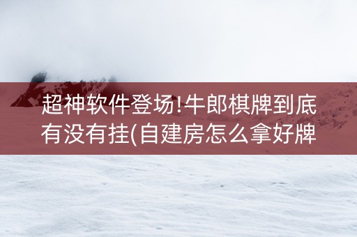 超神软件登场!牛郎棋牌到底有没有挂(自建房怎么拿好牌)