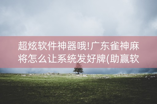 超炫软件神器哦!广东雀神麻将怎么让系统发好牌(助赢软件有规律吗)