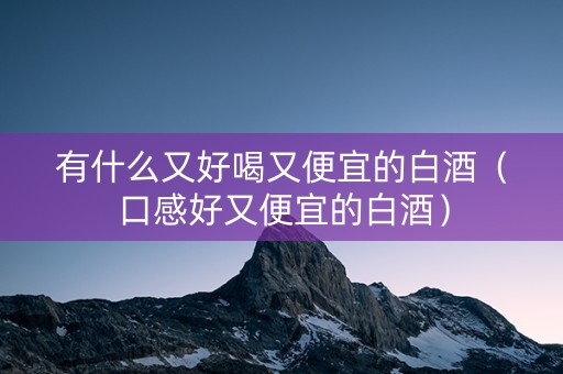 有什么又好喝又便宜的白酒（口感好又便宜的白酒）