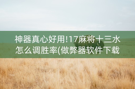 神器真心好用!17麻将十三水怎么调胜率(做弊器软件下载)