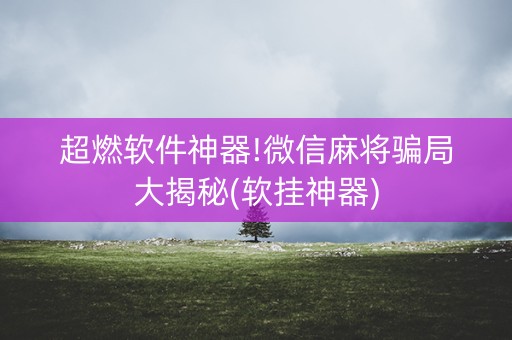 超燃软件神器!微信麻将骗局大揭秘(软挂神器)