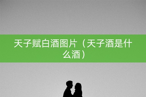 天子赋白酒图片（天子酒是什么酒）