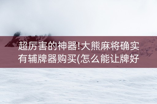 超厉害的神器!大熊麻将确实有辅牌器购买(怎么能让牌好一点)