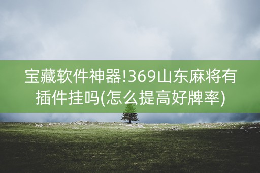 宝藏软件神器!369山东麻将有插件挂吗(怎么提高好牌率)