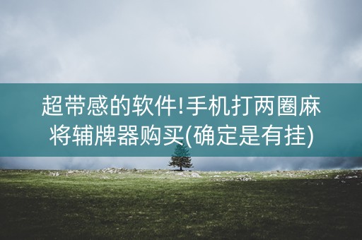 超带感的软件!手机打两圈麻将辅牌器购买(确定是有挂)