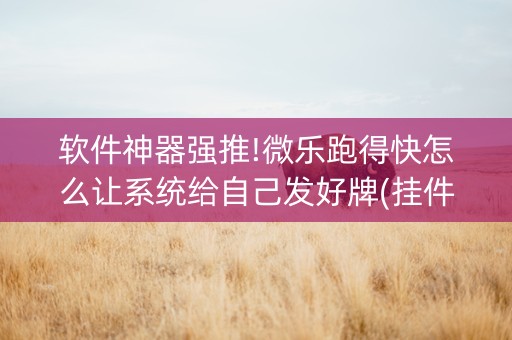 软件神器强推!微乐跑得快怎么让系统给自己发好牌(挂件神器)