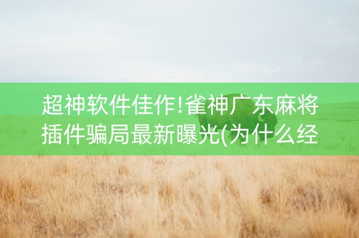 超神软件佳作!雀神广东麻将插件骗局最新曝光(为什么经常输)