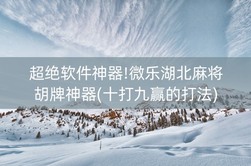 超绝软件神器!微乐湖北麻将胡牌神器(十打九赢的打法)