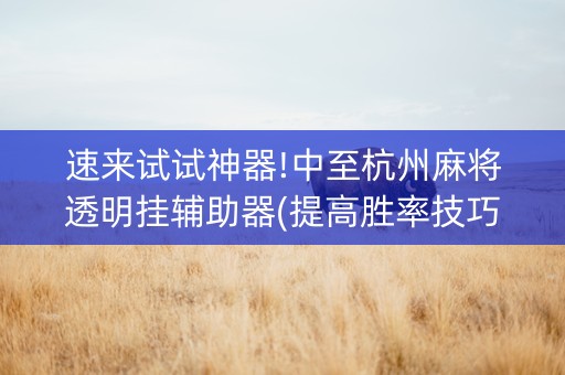 速来试试神器!中至杭州麻将透明挂辅助器(提高胜率技巧)