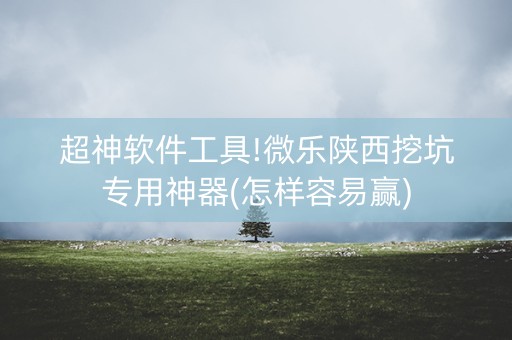 超神软件工具!微乐陕西挖坑专用神器(怎样容易赢)