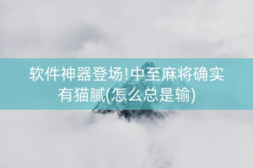 软件神器登场!中至麻将确实有猫腻(怎么总是输)