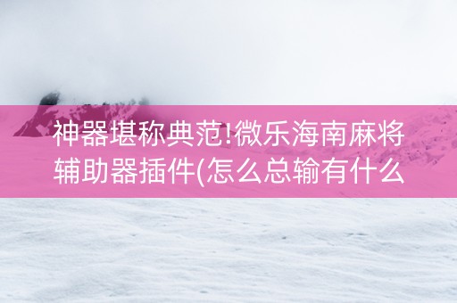 神器堪称典范!微乐海南麻将辅助器插件(怎么总输有什么猫腻)