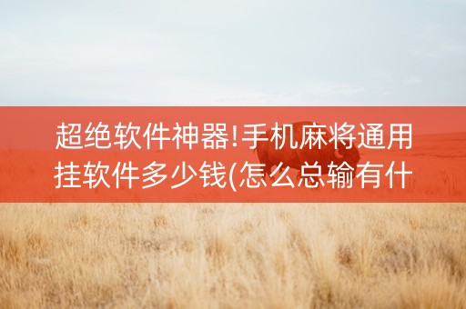 超绝软件神器!手机麻将通用挂软件多少钱(怎么总输有什么猫腻)