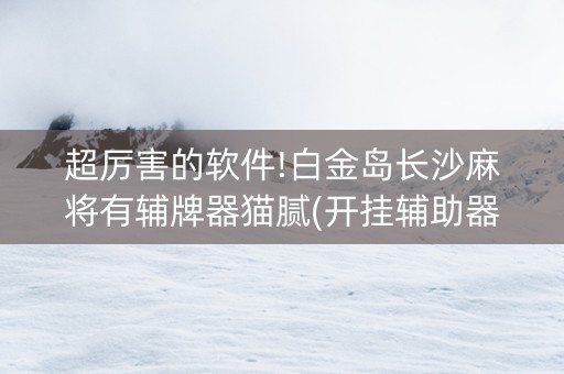 超厉害的软件!白金岛长沙麻将有辅牌器猫腻(开挂辅助器脚本)