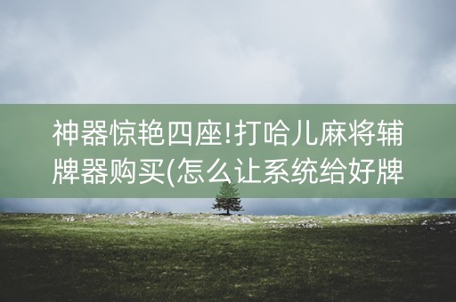 神器惊艳四座!打哈儿麻将辅牌器购买(怎么让系统给好牌)