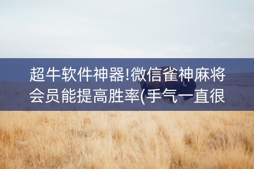 超牛软件神器!微信雀神麻将会员能提高胜率(手气一直很差)