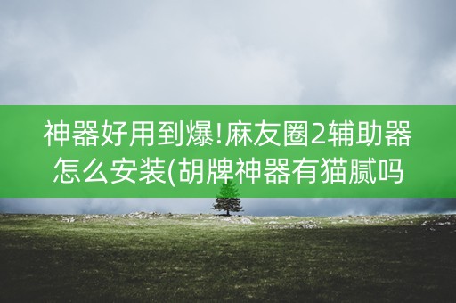 神器好用到爆!麻友圈2辅助器怎么安装(胡牌神器有猫腻吗)