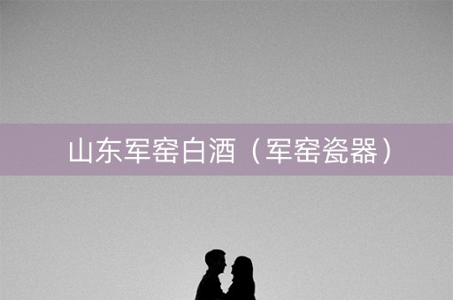 山东军窑白酒（军窑瓷器）