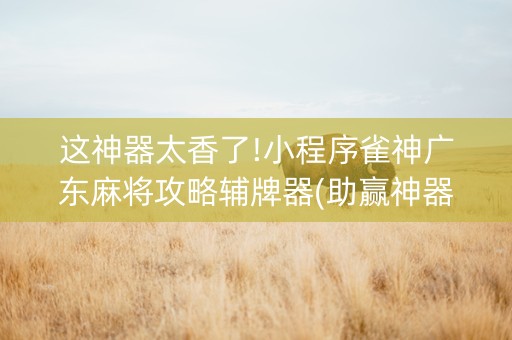 这神器太香了!小程序雀神广东麻将攻略辅牌器(助赢神器购买)
