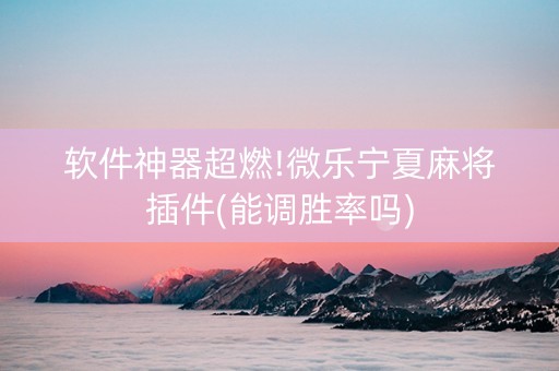 软件神器超燃!微乐宁夏麻将插件(能调胜率吗)
