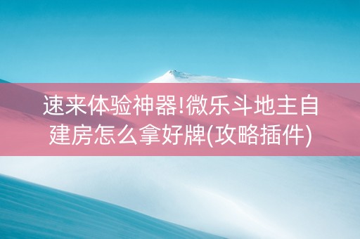 速来体验神器!微乐斗地主自建房怎么拿好牌(攻略插件)