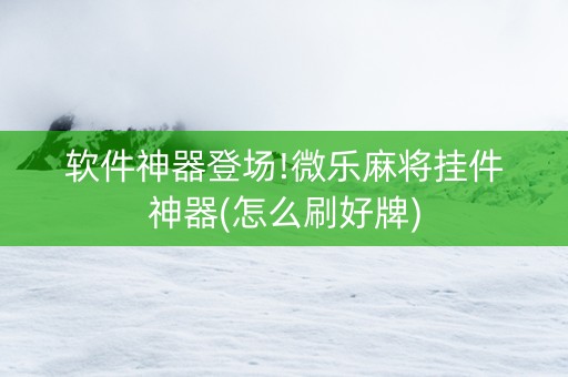 软件神器登场!微乐麻将挂件神器(怎么刷好牌)