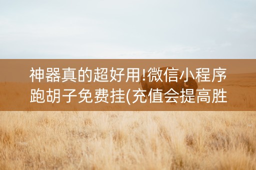 神器真的超好用!微信小程序跑胡子免费挂(充值会提高胜率么)