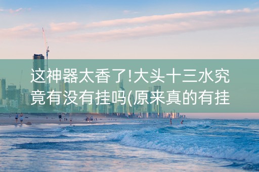 这神器太香了!大头十三水究竟有没有挂吗(原来真的有挂)