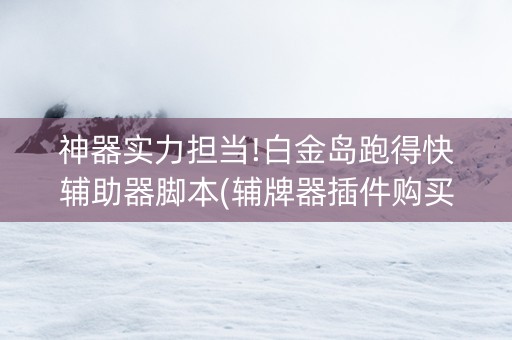 神器实力担当!白金岛跑得快辅助器脚本(辅牌器插件购买)