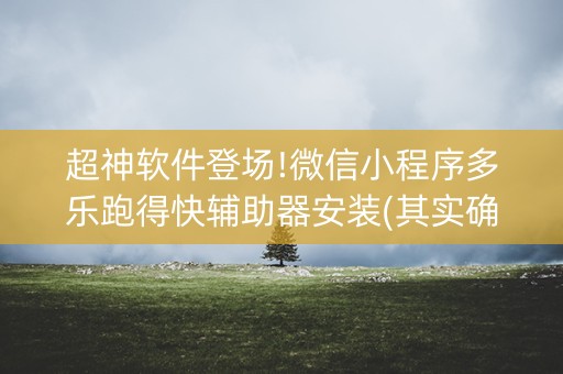 超神软件登场!微信小程序多乐跑得快辅助器安装(其实确实有挂)