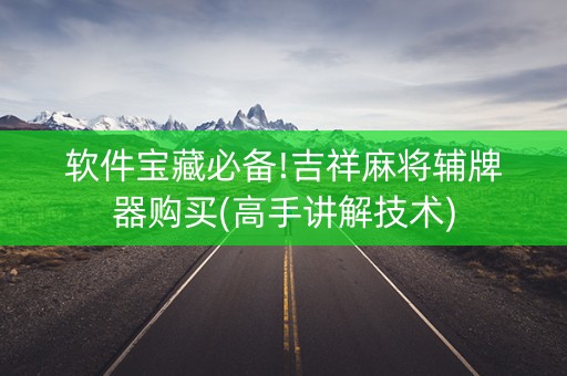 软件宝藏必备!吉祥麻将辅牌器购买(高手讲解技术)