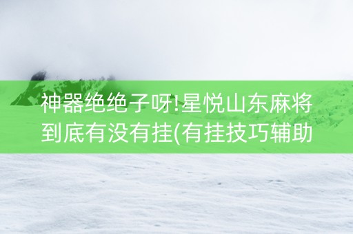 神器绝绝子呀!星悦山东麻将到底有没有挂(有挂技巧辅助器)