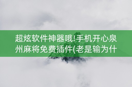 超炫软件神器哦!手机开心泉州麻将免费插件(老是输为什么)