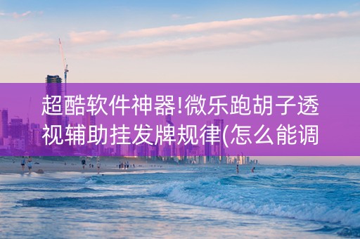 超酷软件神器!微乐跑胡子透视辅助挂发牌规律(怎么能调好牌)