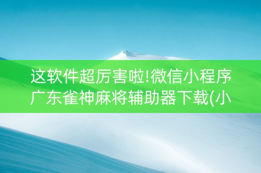 这软件超厉害啦!微信小程序广东雀神麻将辅助器下载(小程序怎么才会赢)