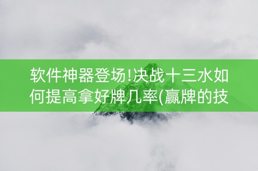 软件神器登场!决战十三水如何提高拿好牌几率(赢牌的技巧)