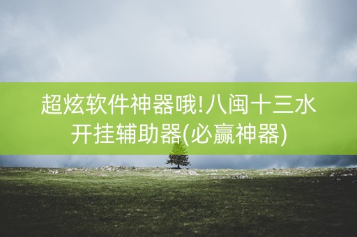 超炫软件神器哦!八闽十三水开挂辅助器(必赢神器)