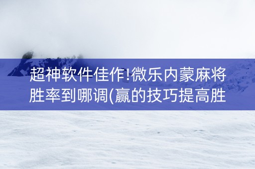超神软件佳作!微乐内蒙麻将胜率到哪调(赢的技巧提高胜率)