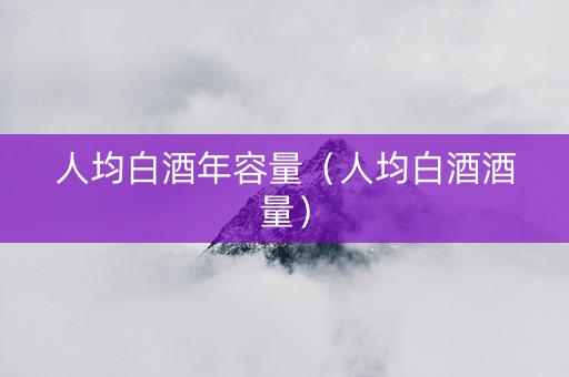 人均白酒年容量（人均白酒酒量）