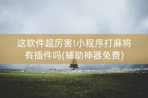 这软件超厉害!小程序打麻将有插件吗(辅助神器免费)