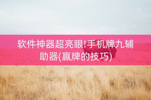 软件神器超亮眼!手机牌九辅助器(赢牌的技巧)