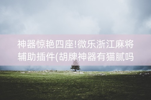 神器惊艳四座!微乐浙江麻将辅助插件(胡牌神器有猫腻吗)