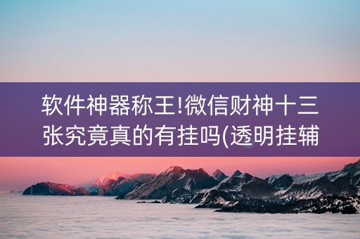软件神器称王!微信财神十三张究竟真的有挂吗(透明挂辅助器)