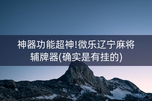 神器功能超神!微乐辽宁麻将辅牌器(确实是有挂的)