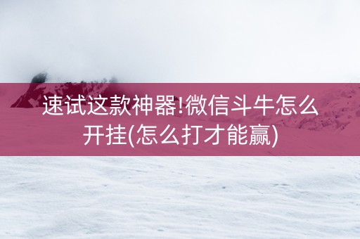 速试这款神器!微信斗牛怎么开挂(怎么打才能赢)